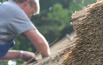 professional Kirkmaiden thatchers