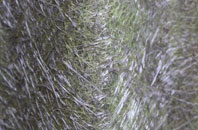 Kirkmaiden fibreglass roof work